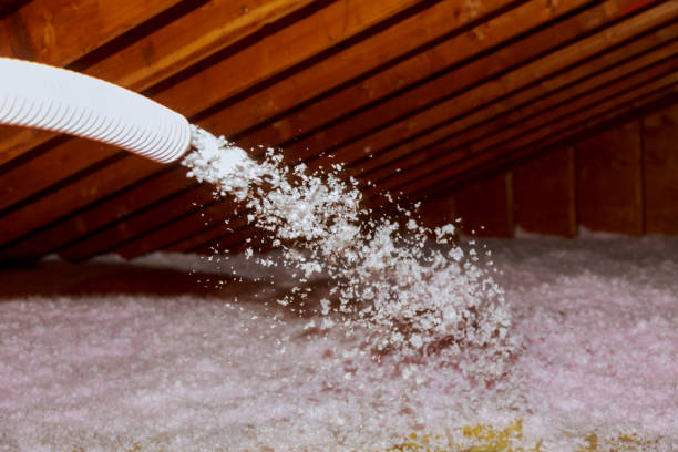 Best Specialized Insulation Services in Reisterstown, MD