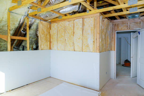 Best DIY Insulation Kits and Guidance in Reisterstown, MD
