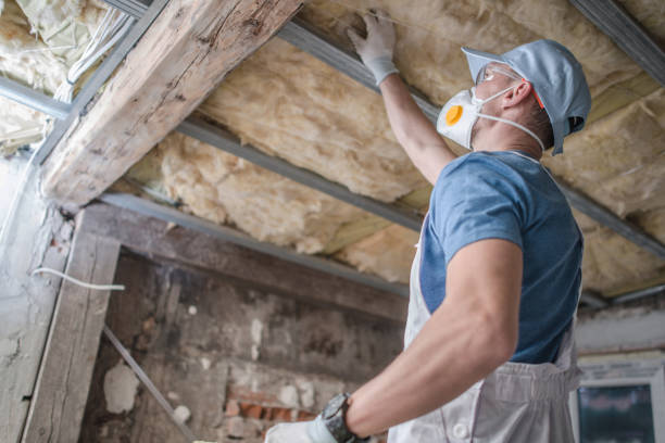 Best Residential Insulation in Reisterstown, MD
