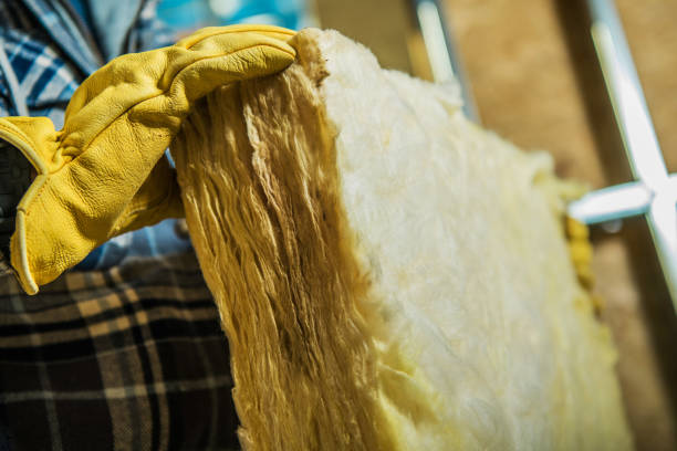 Best Blown-in Insulation in Reisterstown, MD
