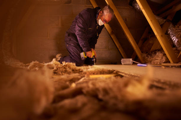 Best Eco-Friendly Insulation in Reisterstown, MD